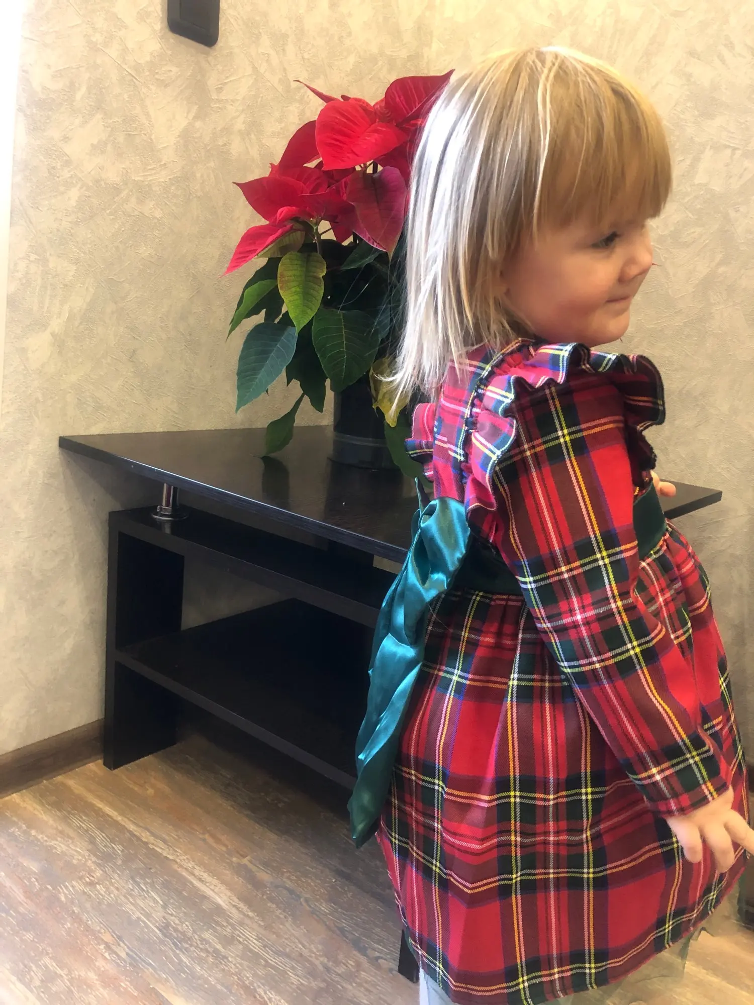 Baby Girls Red Plaid Princess Dresses photo review