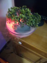 Fogger Air-Humidifier Pond-Atomizer Ultrasonic-Mist-Maker Water-Fountain 24V 12 LED 