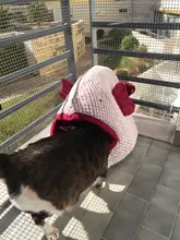 Cawayi Kennel Soft Pet House Dog Bed for Dogs Cats Small Animals Products Products