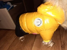 Jacket Bulldog-Clothing Pet-Coat Puppy Dogs Pug Chihuahua French Waterproof Winter Small
