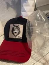 Gorra de béisbol con bordado de animales para hombre y mujer, gorro de béisbol con bordado de animales, estilo camionero, Hip Hop, unisex