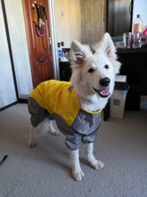 Mono impermeable para perro mascota, ropa impermeable para exteriores, mono con capucha para perros pequeños y grandes, capa impermeable, Bulldog francés