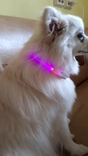 Collar con brillo luminoso para perro, gargantilla con luz led recargable, nocturna e intermitente, con iluminación de seguridad y carga usb para mascota