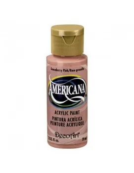 

AMERICAN PAINTING 60 ML ROSE WILD BLACKCURRANT DA27