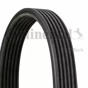 belt-6dpk1215-ContiTech-6dpk1215.jpg