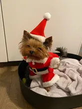 Christmas Pet Dog Cat Costumes Funny Santa Claus Costume For Dogs Cats Winter Warm Dog
