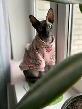 Cartoon Cat Hoodie Sweater Autumn Winter Pet Cat Clothes for Cats Katten Kedi Pullovers