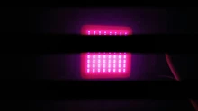 Led-Cob-Chip Flower-Growth-Lighting Indoor-Plant Full-Spectrum 220V Seedling 110V 