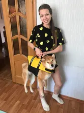 Chaleco Salvavidas para perro, chaqueta Salvavidas para mascota, ropa de seguridad, traje de baño para mascotas, Chaleco de seguridad para verano