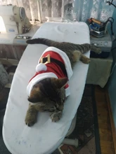 Costume Jackets Yorkie-Outfit Cat-Clothing Puppy Small Dogs Coat Hooded Pet-Dog Winter Dog