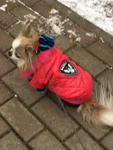 New Arrival Noble Pet Dogs Winter Vest Coat Fur Collar Russia Classic Dogs Clothing Soft