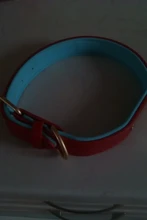 Dog-Collar Id-Plate Engraved Dogs Pitbull Custom Personalized Padded with Tag 2-Layers