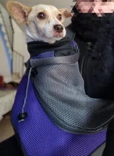 Bolsa de viaje transpirable para mascotas, bolso de hombro de malla Oxford, cómoda, bolso grande de hombro