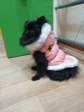 Dog Cat Winter Warm Coat Jacket Dress Pet Puppy Hoodie Winter Warm Clothes Apperal