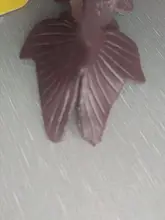 Model-Toy Artificial-Fish-Toy Fish-Aquarium-Tank Clownfish Fluorescent Fish-Goldfish