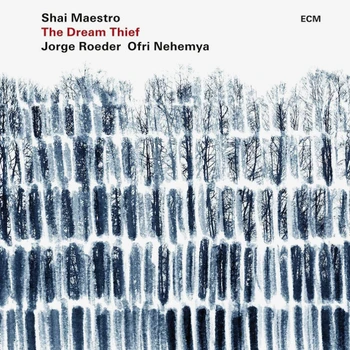 

Shai Maestro Trio / The Dream Thief (LP)