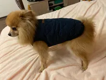 Dog Winter Bulldog-Coat Chihuahu Small French Outfit Puppy Medium Warm 