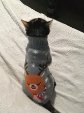 Cute Cat Sweater Costume Winter Warm Pet Clothes Cat Clothing for Cats Katten Kedi Giyim