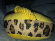 Juguete azul para mascotas, juguete para masticar para cachorros, zapatilla de felpa bonita, suministros de sonido, directo de fábrica