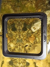 Feeding-Ring Circle-Accessory Fish-Tank-Station Aquarium Floating Food-Tray Buoyancy-Suction-Cup