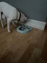 Feeder Toys Dispensing Puppy Pet-Puzzle Pet-Dog Training-Games Slow Interactive Small