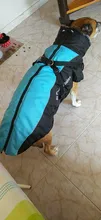 Pet-Dog-Clothes Clothing Walking-Harness Dogs Outdoor Waterproof Large Winter Medium