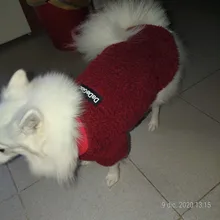 Ropa para perros de lana y Chihuahua, Ropa de invierno para mascotas pequeñas y medianas