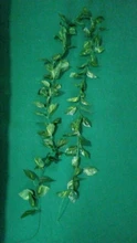 10 Style 1pc Artificial Decoration Vivid Vine Rattan Leaf Vagina Grass Plants Grape Leaves
