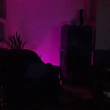 RGBW 5050 Led-Light Flexible DC12V 300leds 5m/Lot