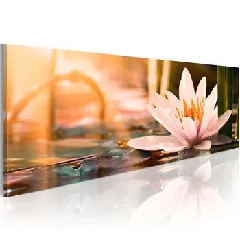 

Table-Beautiful Lotus-150x50