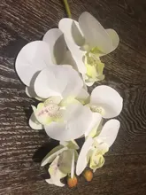 Orchid-Vases Christmas-Gifts-Box Artificial-Flowers Plants Wedding-Decorative Butterfly