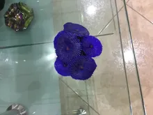 Artificial Resin Coral Sea Plant Ornament Silicone Nontoxic Blue Artificial Coral Plant