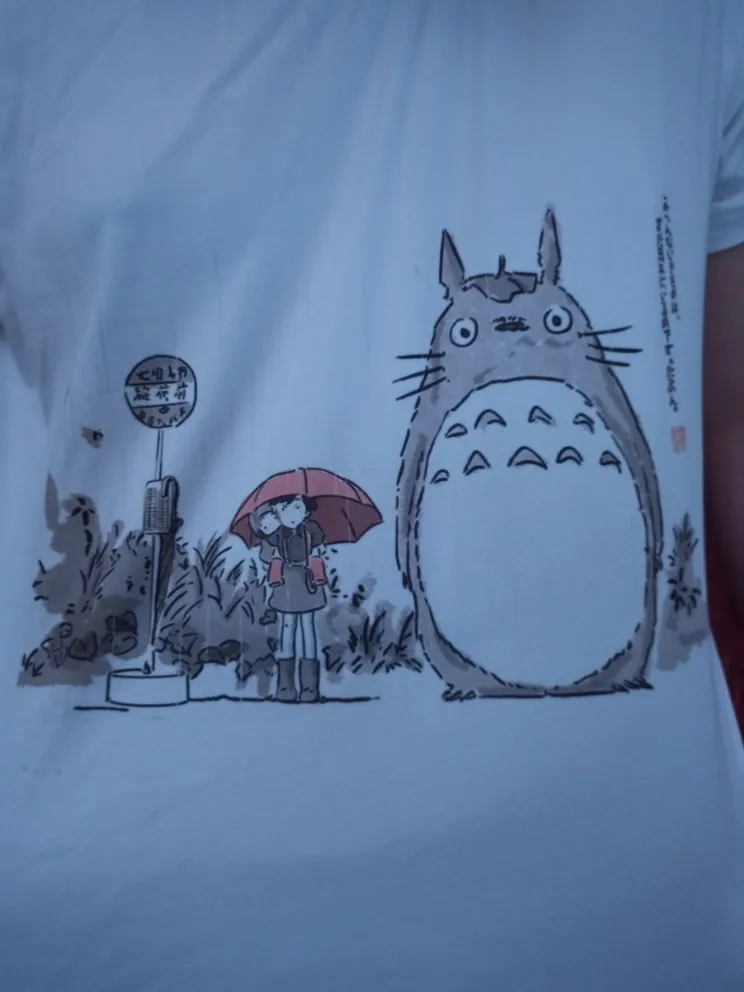 Harajuku Anime Totoro Kawaii T-Shirt photo review