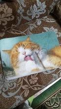 Floor-Mats Kitchen-Carpets Bathroom Welcome Anti-Slip Animal Cat Kawaii Living-Room Cat-Printed