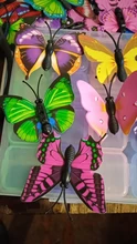Wedding-Decoration House Artificial Butterfly Plastic 12pcs 8-Colors 5cm Scrapbooking