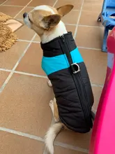 8 Size S-5XL Winter Dog Clothes For Pet Waterproof Warm Large Dog Vest Cat Puppy Dog