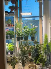 Phyto Lamp Light-Bulb Uk-Plug Grow-Tent Plant Full-Spectrum-Lamp Greenhouses Indoor 2000w Led