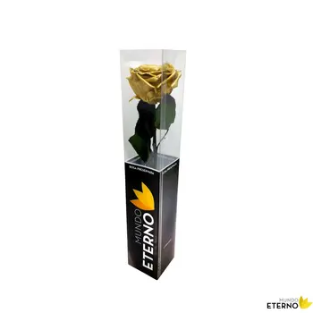 

Mundo eternal Rosa Eterna preserved 35cm gold