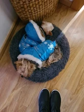 Pet-Cushion Donut Calming Bed Dog-Bed Cat-Sleeping-Bag Washable Plush Warm Soft Large