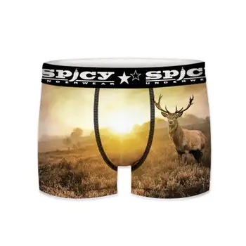 

SPICY BOXER Boxers MENS boxer stampings in various Colour