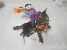 Novelty Halloween Dog Costumes Pet Clothes Cowboy Dressing up Jacket Coats for Dogs Funny