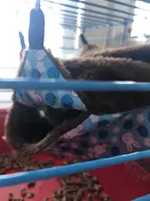 Hamaca de doble capa para mascotas, forro polar de felpa suave, cálido nido colgante, cama para dormir, pequeños, Hamster, ardilla, cerdo