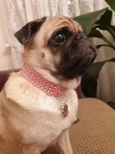 Collar de estrás para perro 3 filas de cuero de gamuza de Diamante gato cachorro 5 colores para pequeño mediano perros Chihuahua Yorkshire