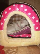 CAWAYI KENNEL Dog Pet House Products Dog Bed For Dogs Cats Small Animals cama perro hondenmand