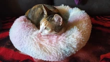 Cama de Gato supersuave, 14 colores, redonda, mullidas de gato, cesta para dormir, larga felpa, cálida, alfombrilla para mascotas, perrera ligera de tacto cómodo