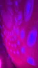Miniluz de Ambiente de colores para coche, lámpara LED RGB para fiesta, DJ, discoteca, luces portátiles con efecto de escenario mágico, USB