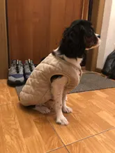 Jacket Vest Coat Clothing Puppy Dogs French Bulldog Chihuahua Winter Small Large 