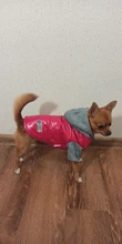 Hoodies Jacket Puppy French-Bulldog Small Dogs Waterproof Dog Chihuahua Winter Autumn