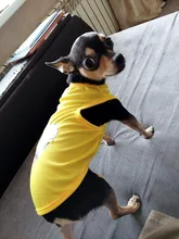 Nueva moda deportes ropa de perro T camisa traje Yorkshire Chihuahua cachorro Ropa para perros de verano perro gato camisa chaleco XS-XXL