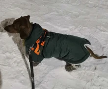 Pet-Dog-Clothes Clothing Coat Jacket Outfit Pets-Puppy-Costume French Bulldog Small Dogs